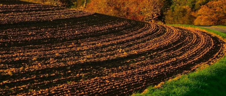 Feuillet d'avril : sillon, outils et semailles