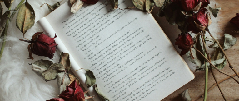 Je suis venu trop tard