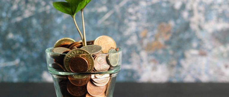 Comment dépenser moins d'argent, La folie d'une lectrice sans dépenser 1 euro.