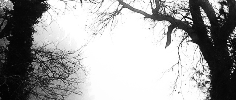 Feuillet du mois : Lueurs de décembre