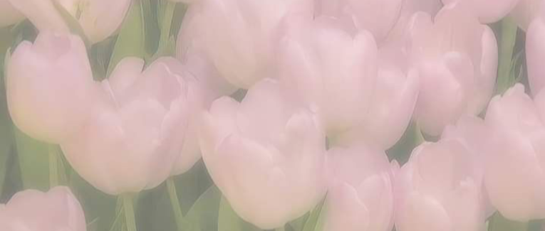 Et vous, que pensez-vous de 𝘭'𝘈𝘳𝘵 𝘥𝘦𝘴 𝘮𝘰𝘵𝘴?