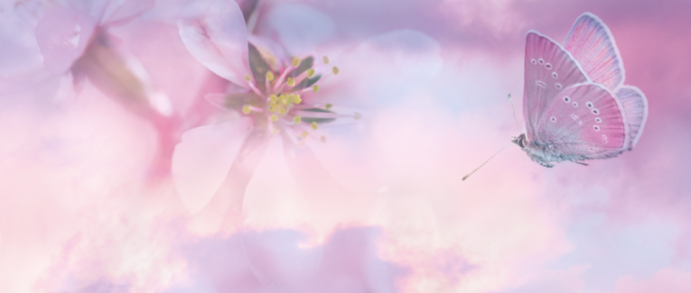 Papillon de ciel