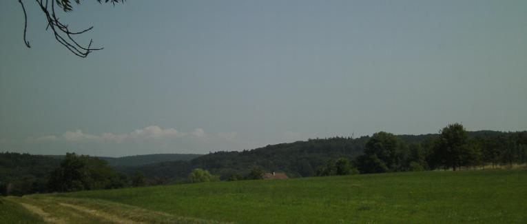 Au lieu de l'internet life , préferons la vraie vie