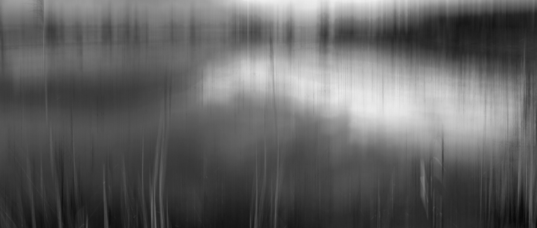 Mini expo photo 12 : Le marais de Lavours