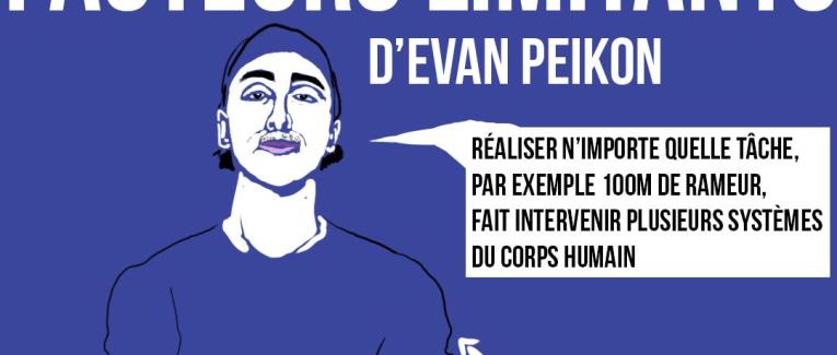 La théorie des facteurs limitants d'Evan Peikon