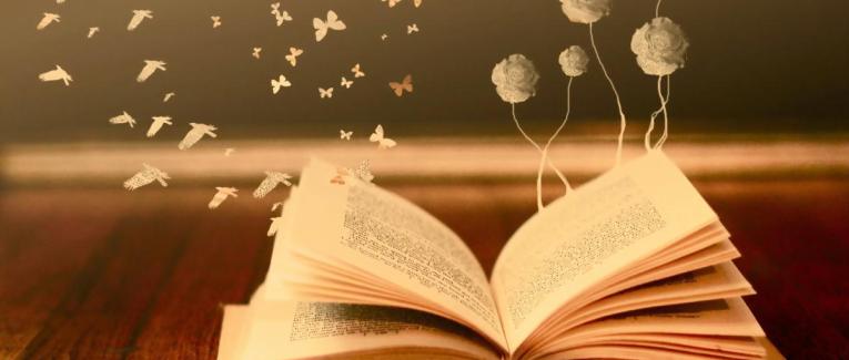 B.O.A. Tome 1-Loterie Funeste (B.O.A. #1) by Magali Laurent