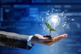 Transformation numérique des entreprises : protection de l'environnement
