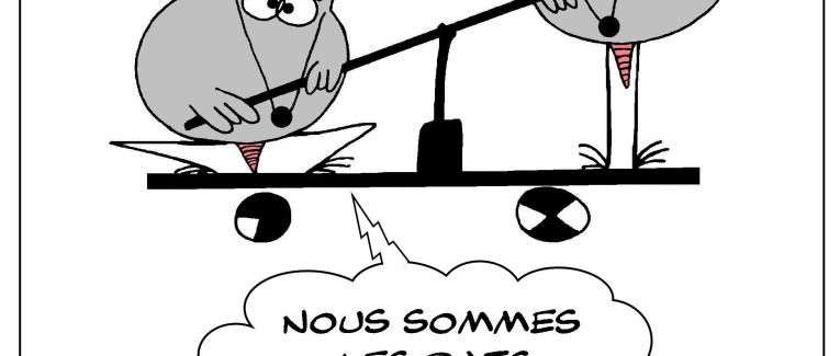 Les rats des Shadoks