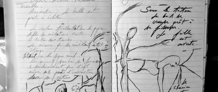 Petits Papiers Volants : Journal D'écriture 2003-2018 - Jeudi 11 janvier 2018