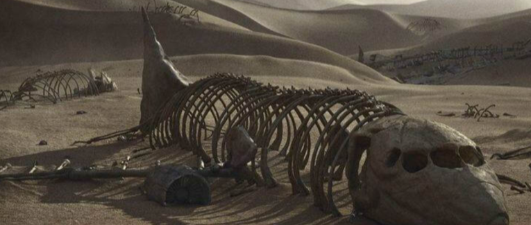 La Panne (carnet de bord d’un burn-out)