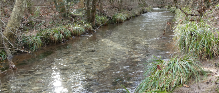 Première balade 2026 😁