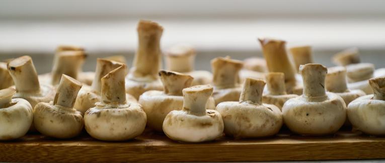 Paupiettes de dinde à la crème, aux champignons et lardons