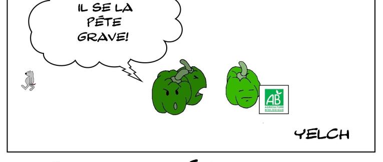 Légumes bio prout-prouts