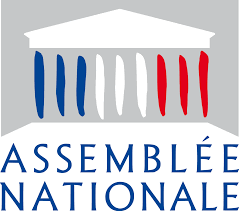A l'Assemblée Nationale 17 députés ont une double-nationalité !