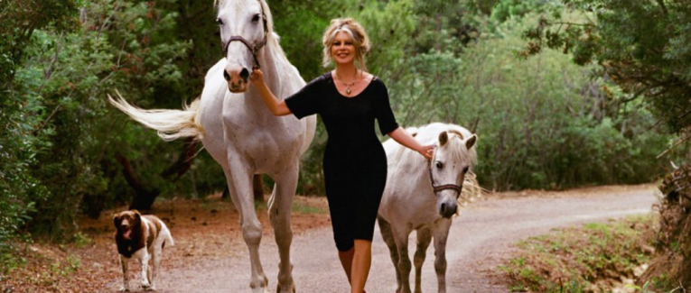 Brigitte Bardot : "La Fée des animaux"
