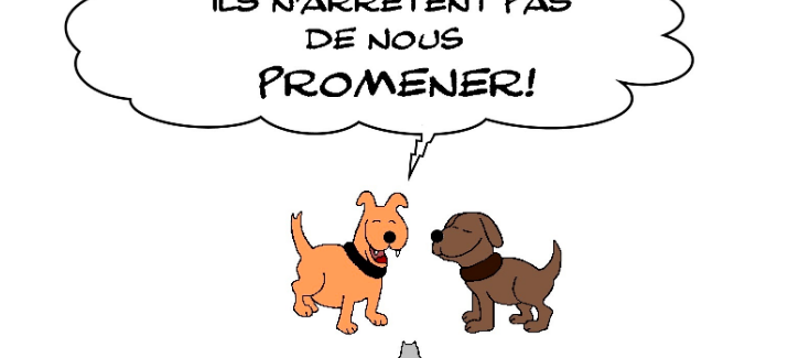 la gent canine et le confinement
