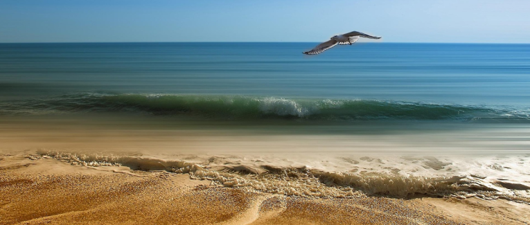 Épiphanie pour la jeunesse du monde, exhortation dans le vent…