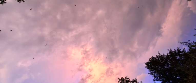 Quand le ciel fleurira
