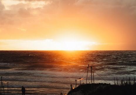 Chapitre 33 La vérité sur Rose et Pierre 