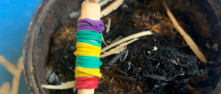 Rien est vrai tout est permis