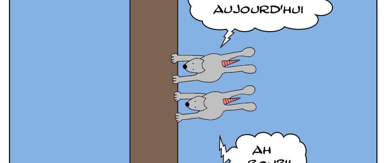Les rats qui étaient dans le vent