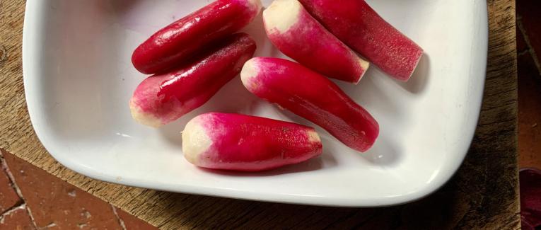 Le jardin du 14 Octobre