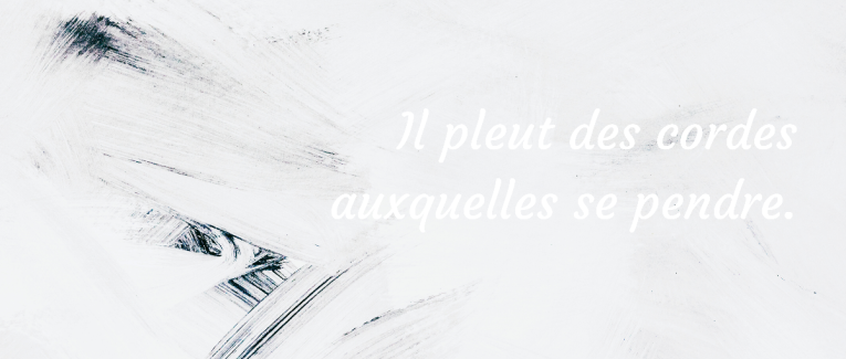 Dictons de saison