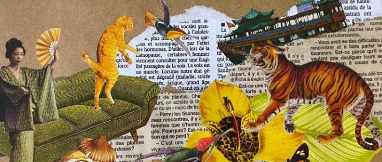 Écrivons un texte avec les mots suivants : chat - canapé - éventail - champignon - tigre - papillon - orchidée - bateau.