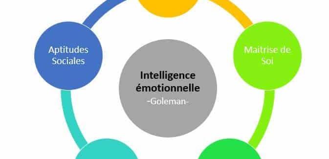 L'intelligence émotionnelle