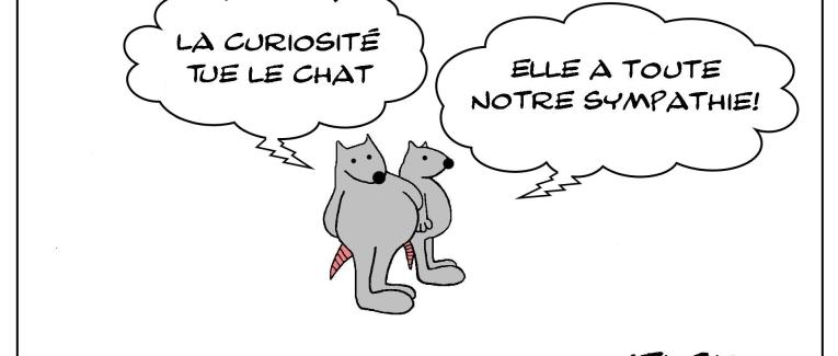 Le rat qui appréciait la curiosité