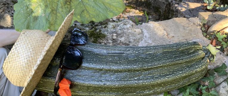 Le jardin du 3 Septembre 