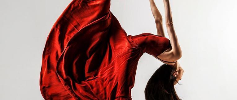 The Sculptural Photography of Vadim Stein