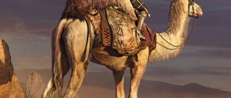 Le palmier de la fécondité