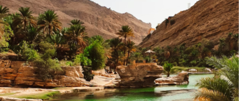 Oasis
