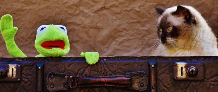La Grenouille Qui Fait Miaou