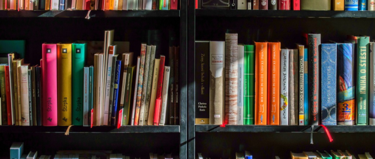 Besoin de bêta-lecteurs pour le tome 2 !