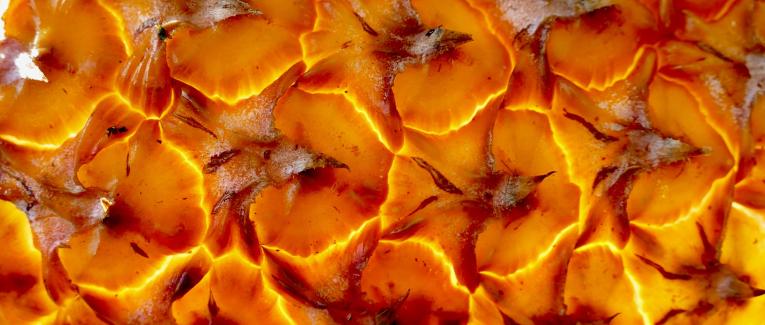 Saveurs confinées