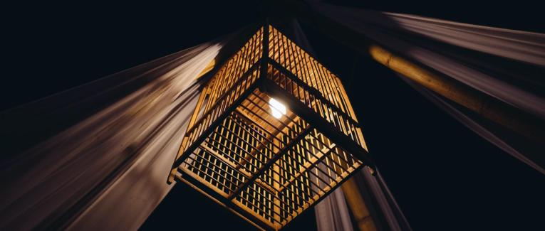 Chapitre 14 - Sortir de la cage