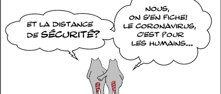 DISTANCE DE SECURITE CORONAVIRUS ET RATS