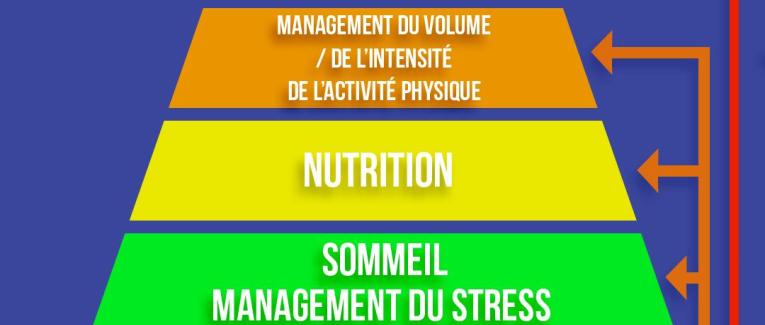 La pyramide de la récupération