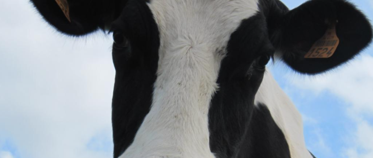 La lune tient ses promesses... image libre de droits...