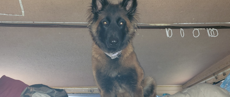 Ton lit? Mon lit? Notre lit 😁