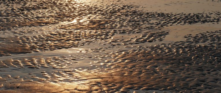 Marée  basse