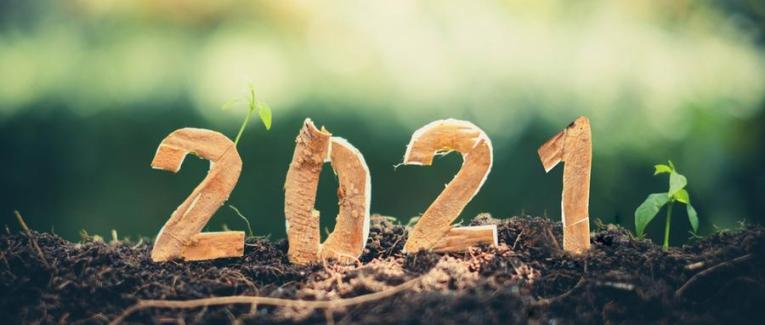 Gracieux horoscope du nouvel an 2021