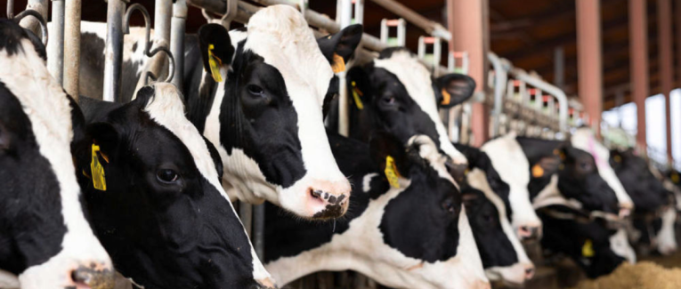 Pourquoi l'agriculture française ne fonctionne plus?