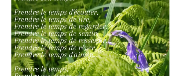 (Sans titre)