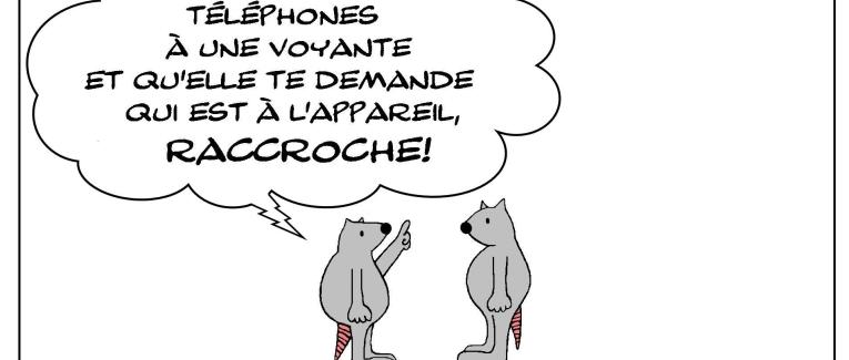 Les inconvénients de la voyance par téléphone
