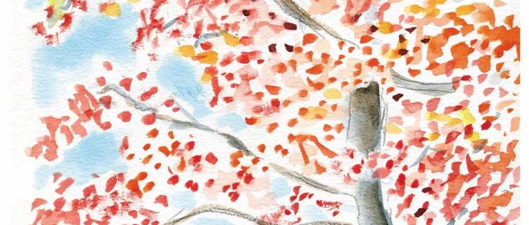 Automne flamboyant