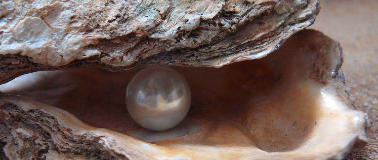Perle