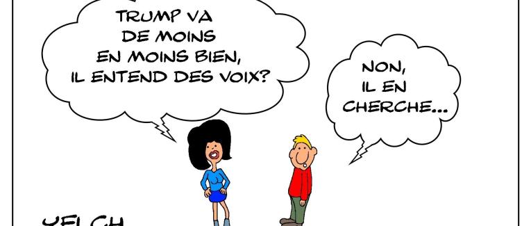 Les voix de Trump